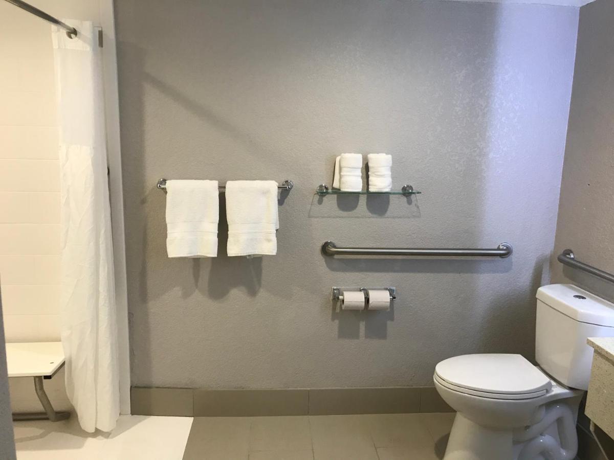 Chambre Lit King-Size avec Douche Accessible en Fauteuil Roulant - Accessible aux Personnes à Mobilité Réduite - Non-Fumeurs