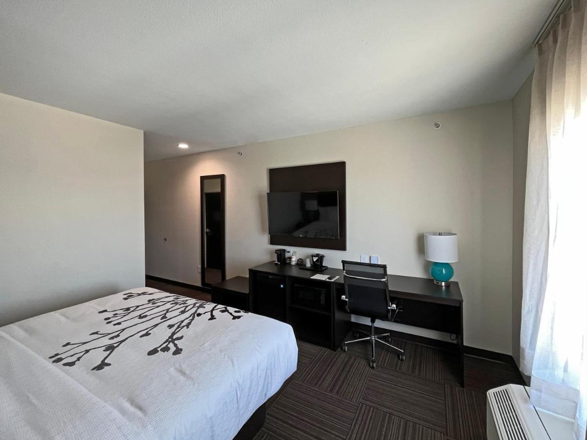 Chambre Lit King-Size - Accessible aux Personnes à Mobilité Réduite/Non-Fumeurs