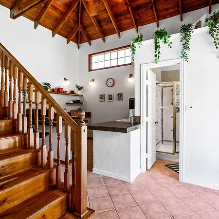 Dallas Oak Lawn Oasis W/ Private Pool, Hot Tub-3